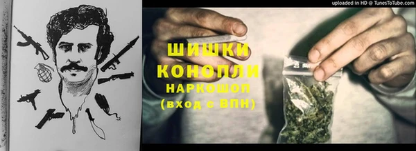 PSILOCYBIN Белоозёрский