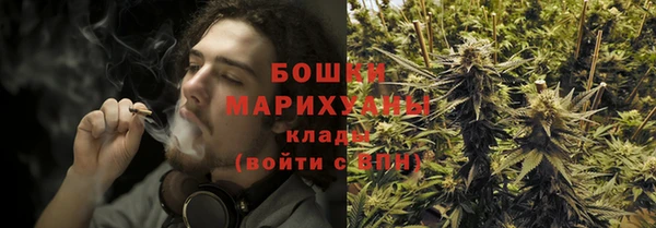 PSILOCYBIN Белоозёрский