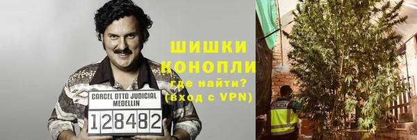 PSILOCYBIN Белоозёрский